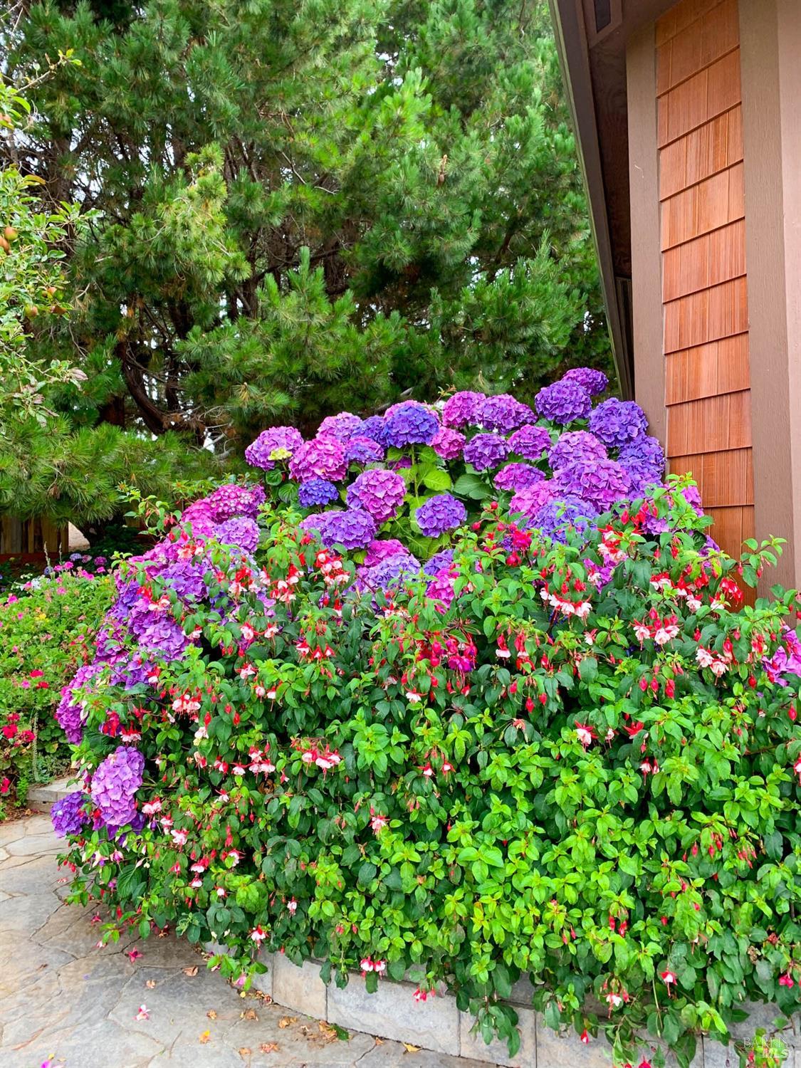 Detail Gallery Image 35 of 98 For 43500 Crispin Rd, Manchester,  CA 95459 - 3 Beds | 3 Baths