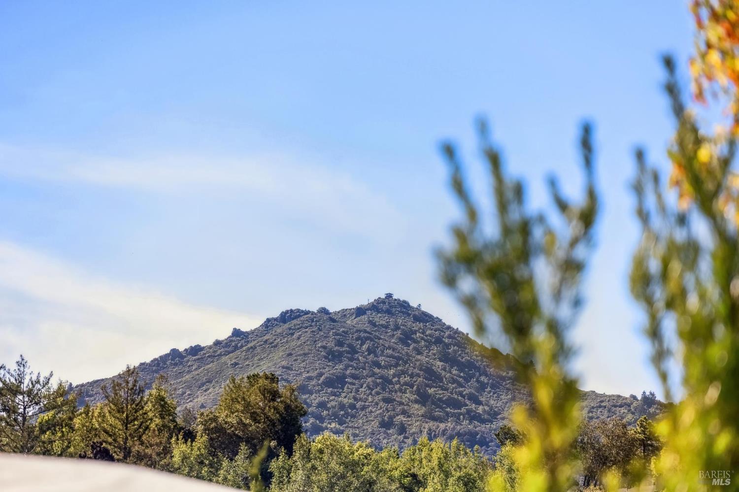 Detail Gallery Image 52 of 64 For 38 Cornell Ave, Larkspur,  CA 94939 - 5 Beds | 3 Baths