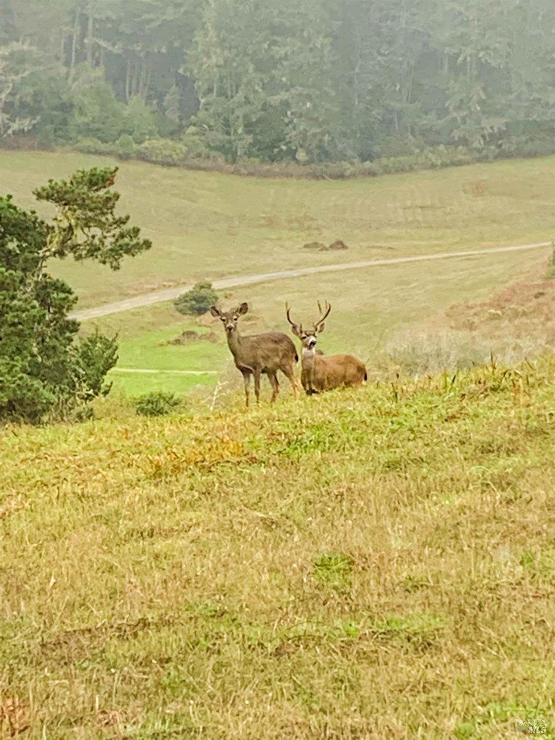 Detail Gallery Image 94 of 98 For 43500 Crispin Rd, Manchester,  CA 95459 - 3 Beds | 3 Baths