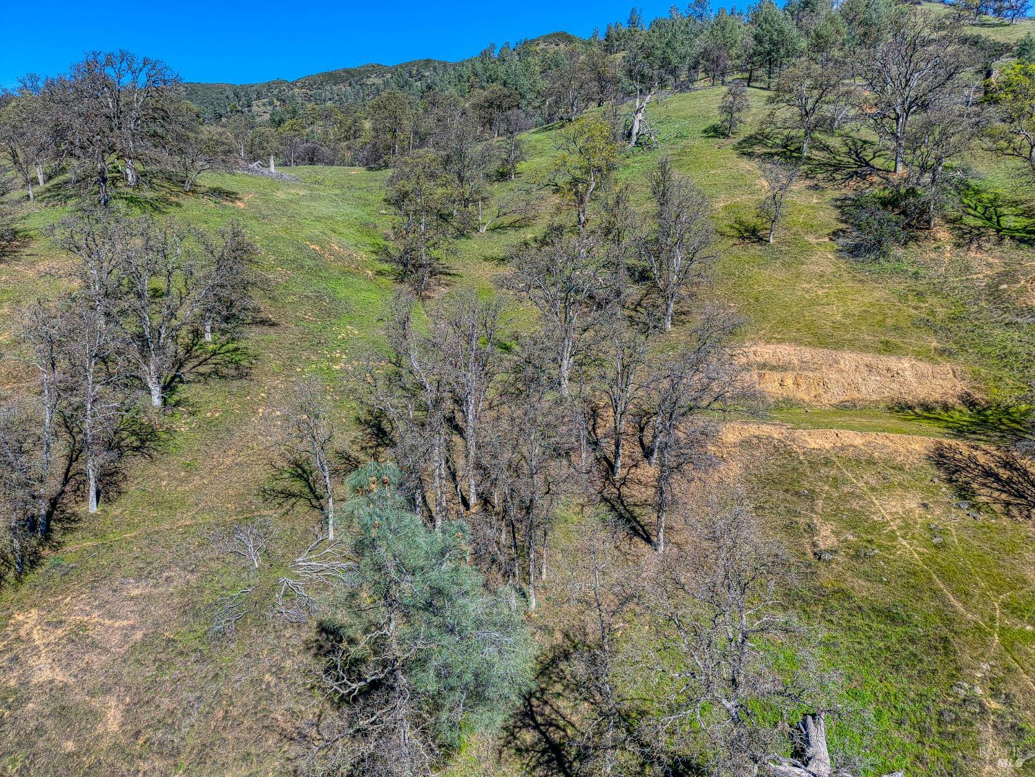 Detail Gallery Image 22 of 57 For 2393 New Long Valley Rd, Clearlake Oaks,  CA 95423 - – Beds | – Baths