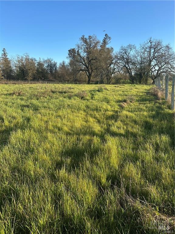 Detail Gallery Image 10 of 11 For 705 Shiloh Rd, Windsor,  CA 95492 - – Beds | – Baths