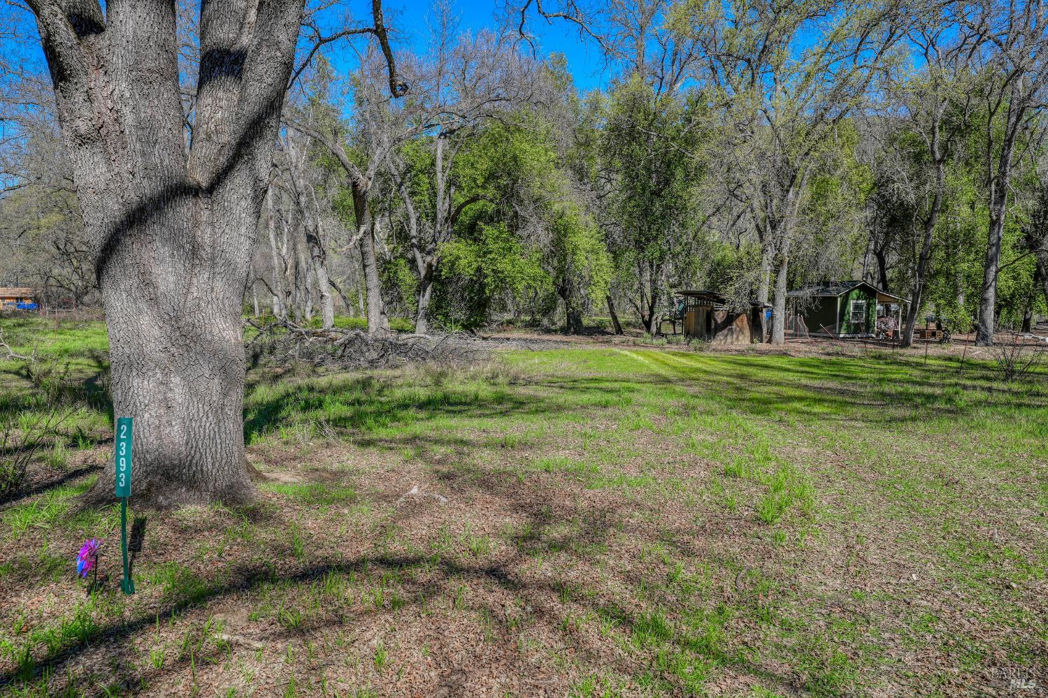 Detail Gallery Image 45 of 57 For 2393 New Long Valley Rd, Clearlake Oaks,  CA 95423 - – Beds | – Baths