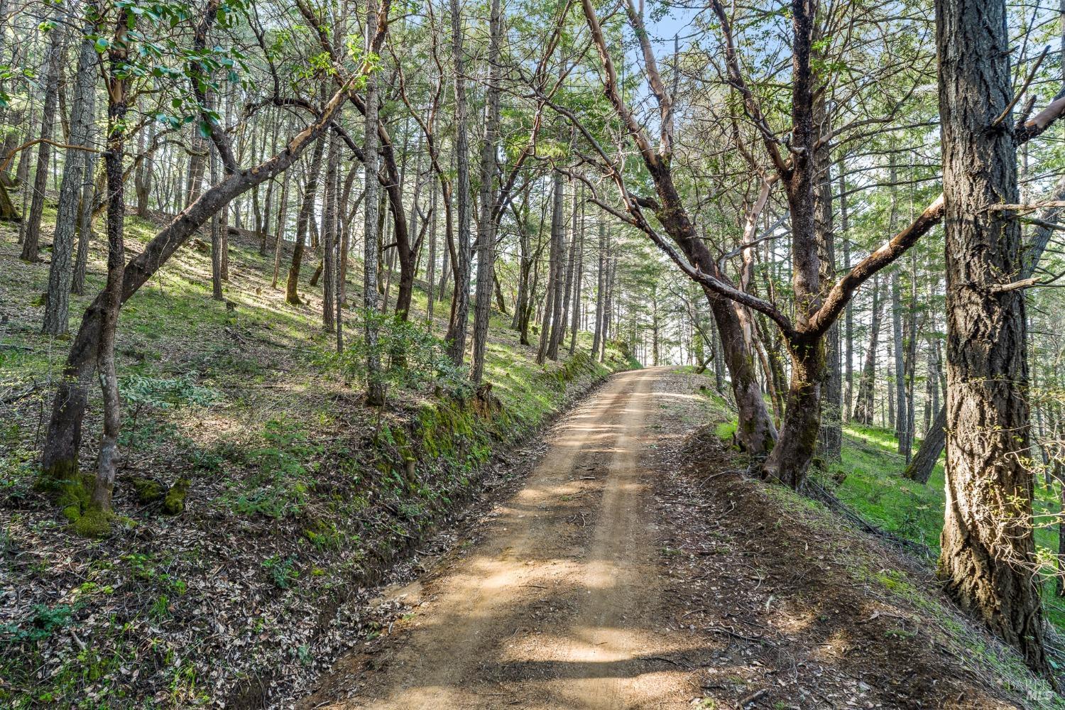 Detail Gallery Image 30 of 48 For 5155 Mill Creek Rd, Talmage,  CA 95481 - 4 Beds | 2 Baths