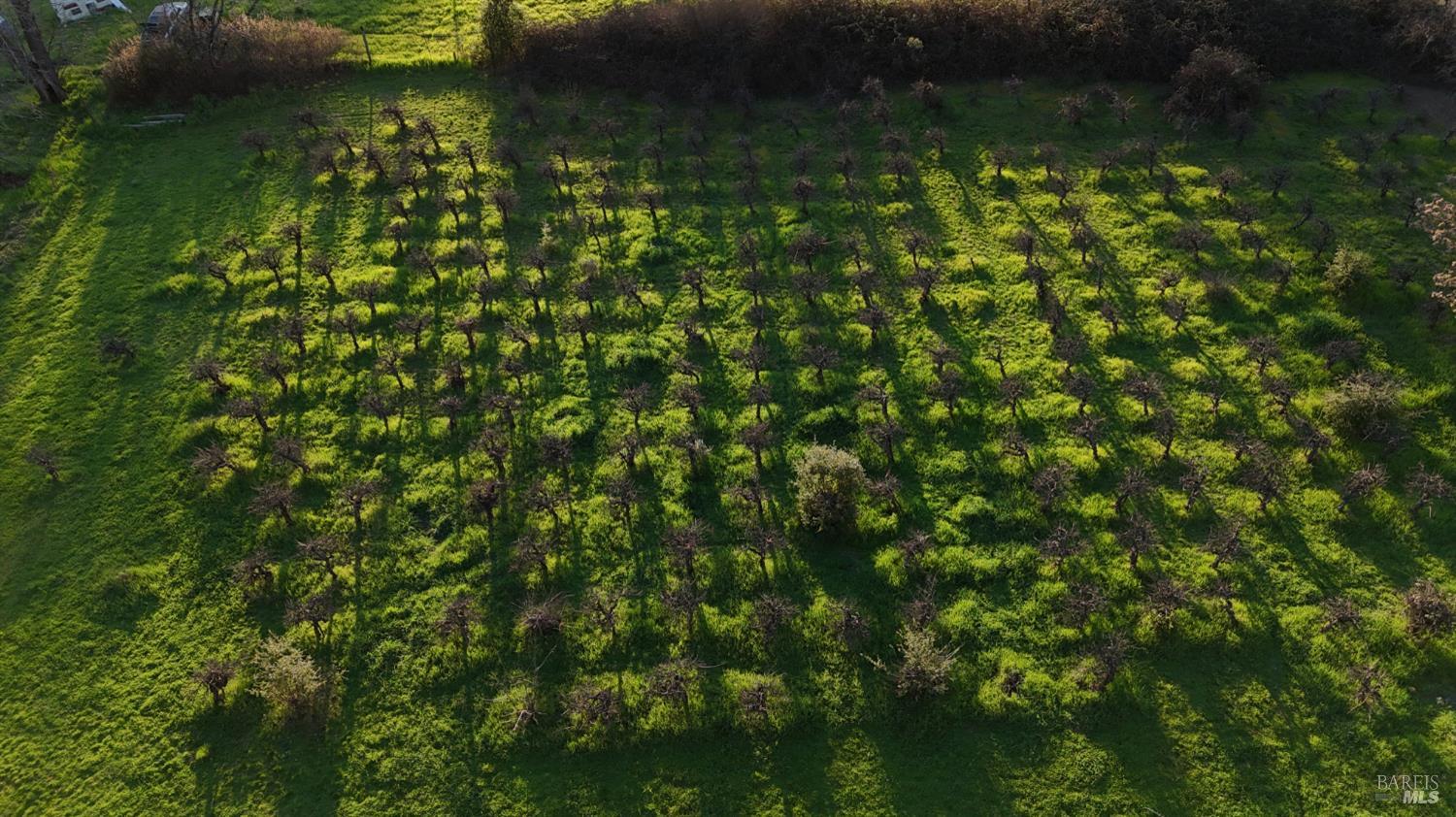 Detail Gallery Image 31 of 32 For 2981 Guidiville Reservation Rd, Ukiah,  CA 95482 - 1 Beds | 1 Baths