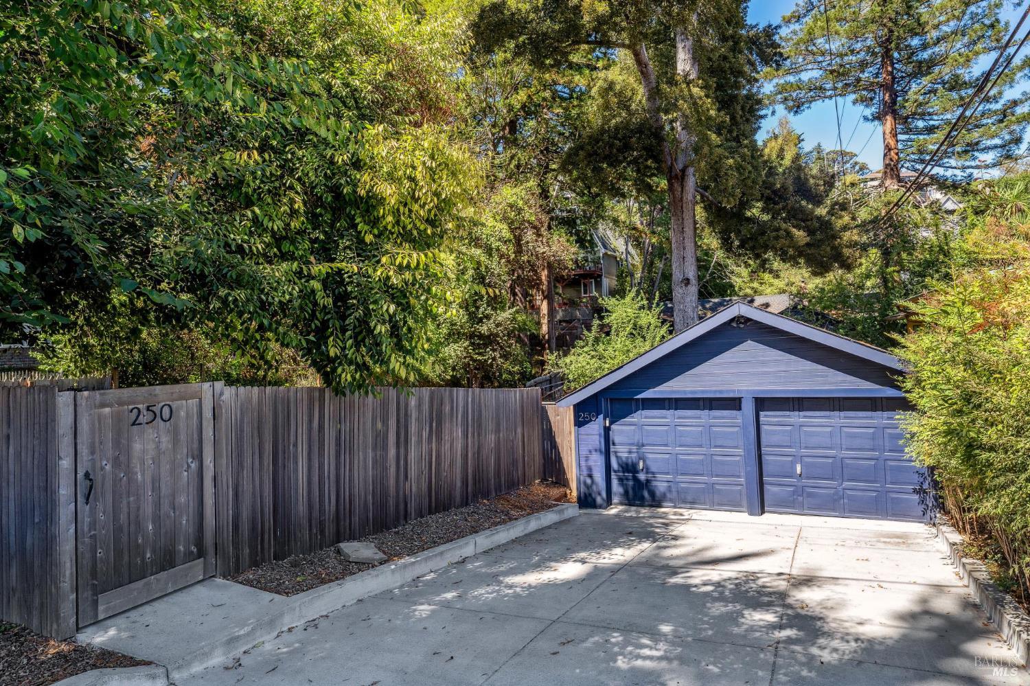 Detail Gallery Image 26 of 30 For 250 Evergreen Ave, Mill Valley,  CA 94941 - 3 Beds | 2 Baths