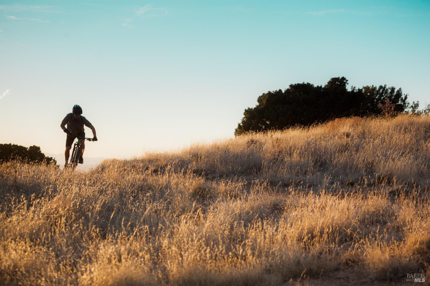 Detail Gallery Image 19 of 20 For 200 Toyon Rd, Fairfax,  CA 94930 - – Beds | – Baths