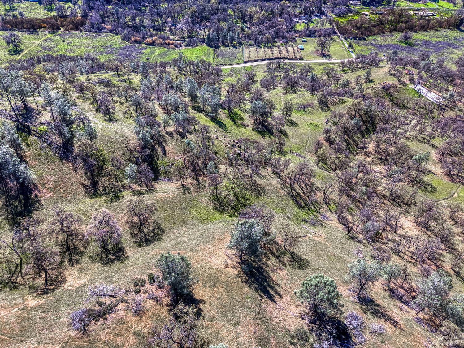 Detail Gallery Image 11 of 57 For 2393 New Long Valley Rd, Clearlake Oaks,  CA 95423 - – Beds | – Baths