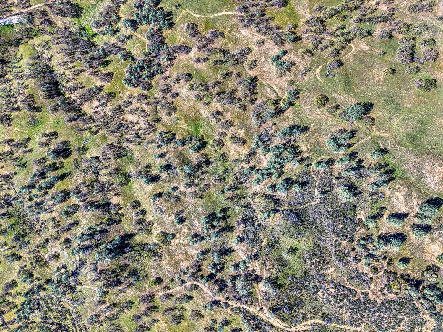 Detail Gallery Image 28 of 57 For 2393 New Long Valley Rd, Clearlake Oaks,  CA 95423 - – Beds | – Baths