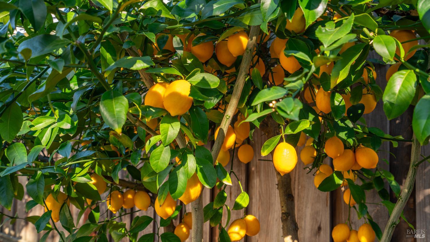 Detail Gallery Image 33 of 34 For 3528 Yale Dr, Santa Rosa,  CA 95405 - 3 Beds | 2 Baths