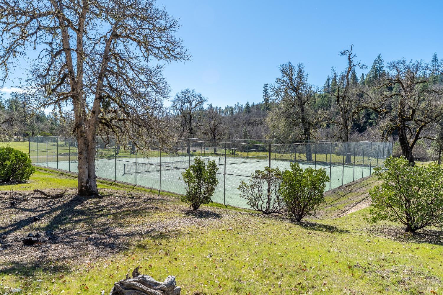 Detail Gallery Image 33 of 39 For 30429 Ridgewood Dr, Potter Valley,  CA 95469 - 1 Beds | 1 Baths