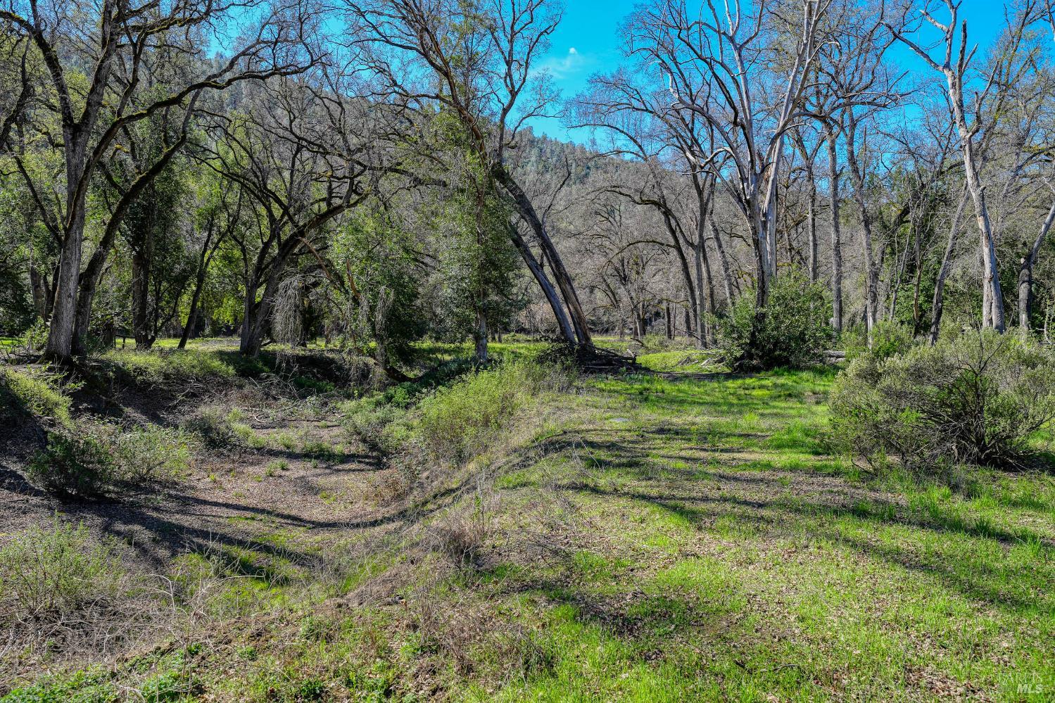 Detail Gallery Image 4 of 57 For 2393 New Long Valley Rd, Clearlake Oaks,  CA 95423 - – Beds | – Baths