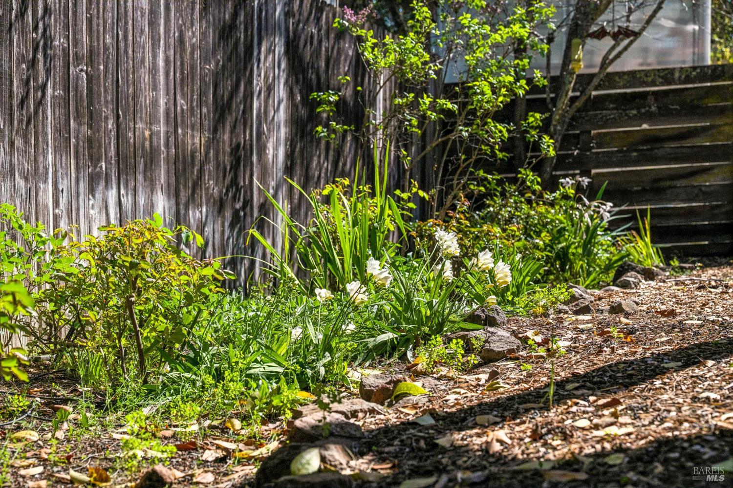 Detail Gallery Image 51 of 58 For 3 Hill Dr, Petaluma,  CA 94952 - 3 Beds | 2/1 Baths