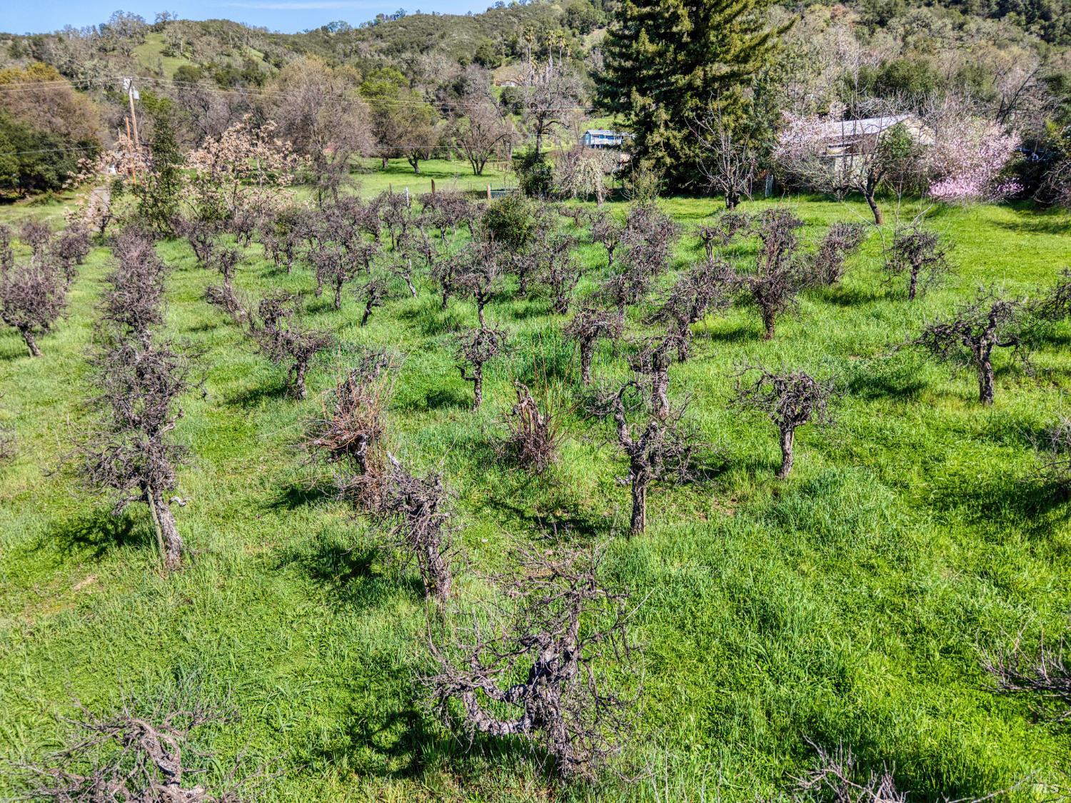 Detail Gallery Image 28 of 32 For 2981 Guidiville Reservation Rd, Ukiah,  CA 95482 - 1 Beds | 1 Baths