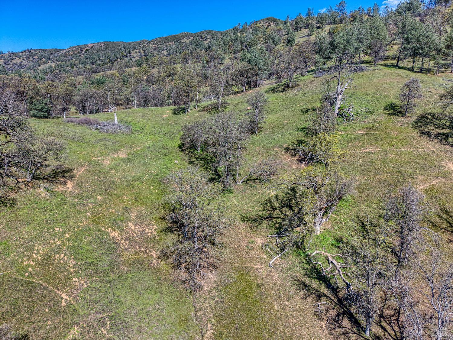 Detail Gallery Image 20 of 57 For 2393 New Long Valley Rd, Clearlake Oaks,  CA 95423 - – Beds | – Baths