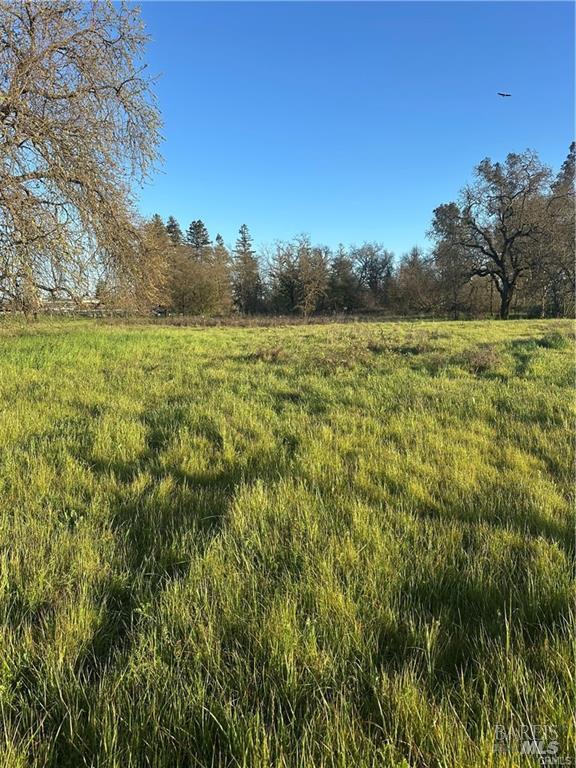 Detail Gallery Image 9 of 11 For 705 Shiloh Rd, Windsor,  CA 95492 - – Beds | – Baths