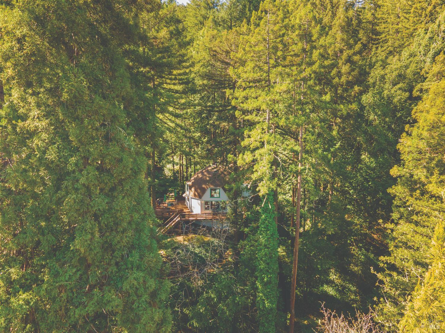 Detail Gallery Image 76 of 77 For 9085 Middle Ter, Monte Rio,  CA 95462 - 1 Beds | 1/1 Baths