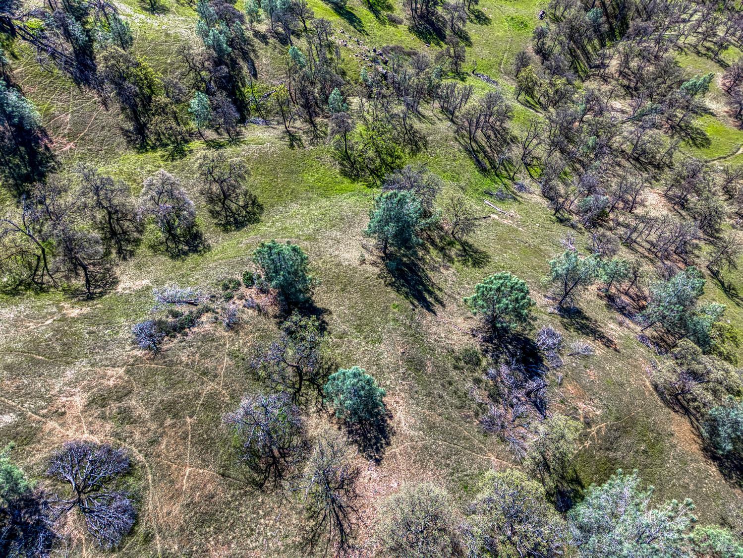 Detail Gallery Image 10 of 57 For 2393 New Long Valley Rd, Clearlake Oaks,  CA 95423 - – Beds | – Baths