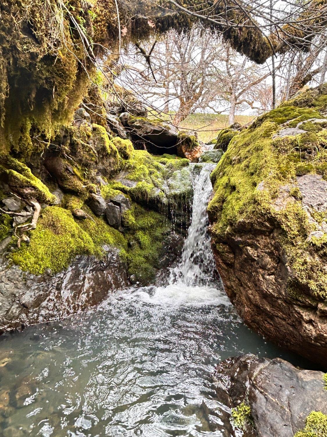 Detail Gallery Image 47 of 75 For 8401 Brandywine Dr, Ukiah,  CA 95482 - 2 Beds | 1 Baths