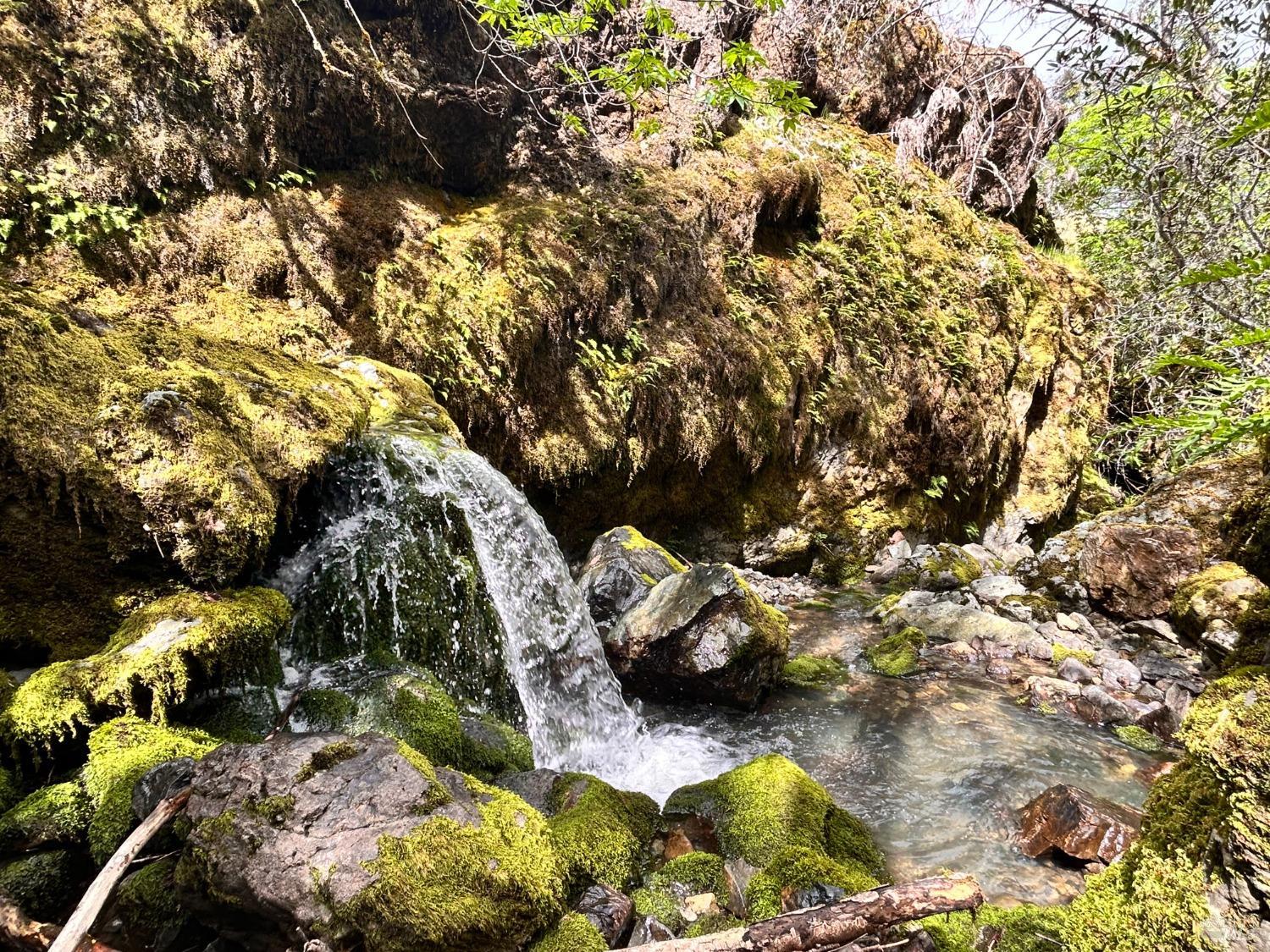 Detail Gallery Image 44 of 75 For 8401 Brandywine Dr, Ukiah,  CA 95482 - 2 Beds | 1 Baths