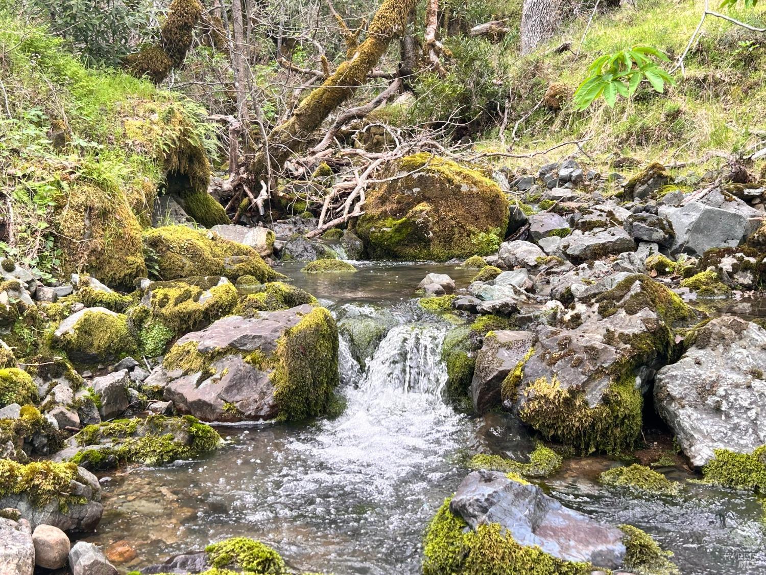 Detail Gallery Image 40 of 75 For 8401 Brandywine Dr, Ukiah,  CA 95482 - 2 Beds | 1 Baths