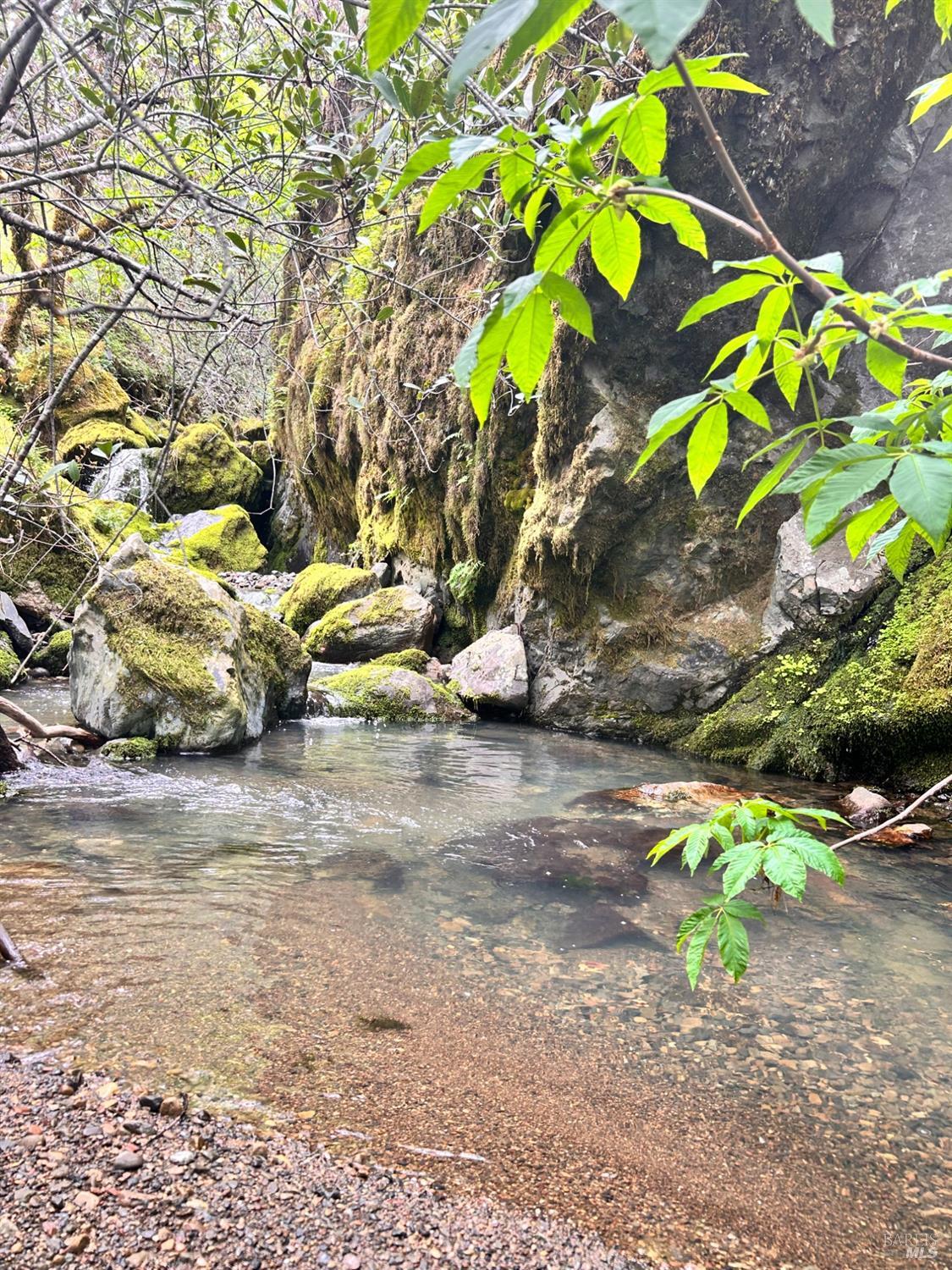 Detail Gallery Image 43 of 75 For 8401 Brandywine Dr, Ukiah,  CA 95482 - 2 Beds | 1 Baths