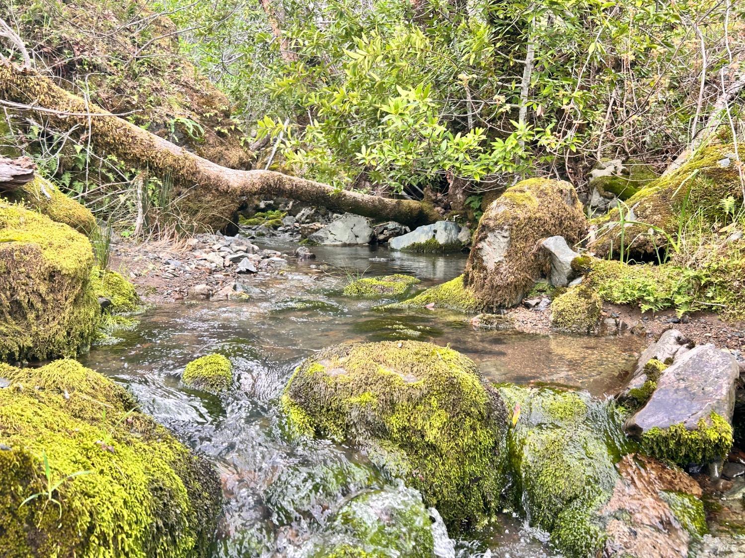 Detail Gallery Image 41 of 75 For 8401 Brandywine Dr, Ukiah,  CA 95482 - 2 Beds | 1 Baths