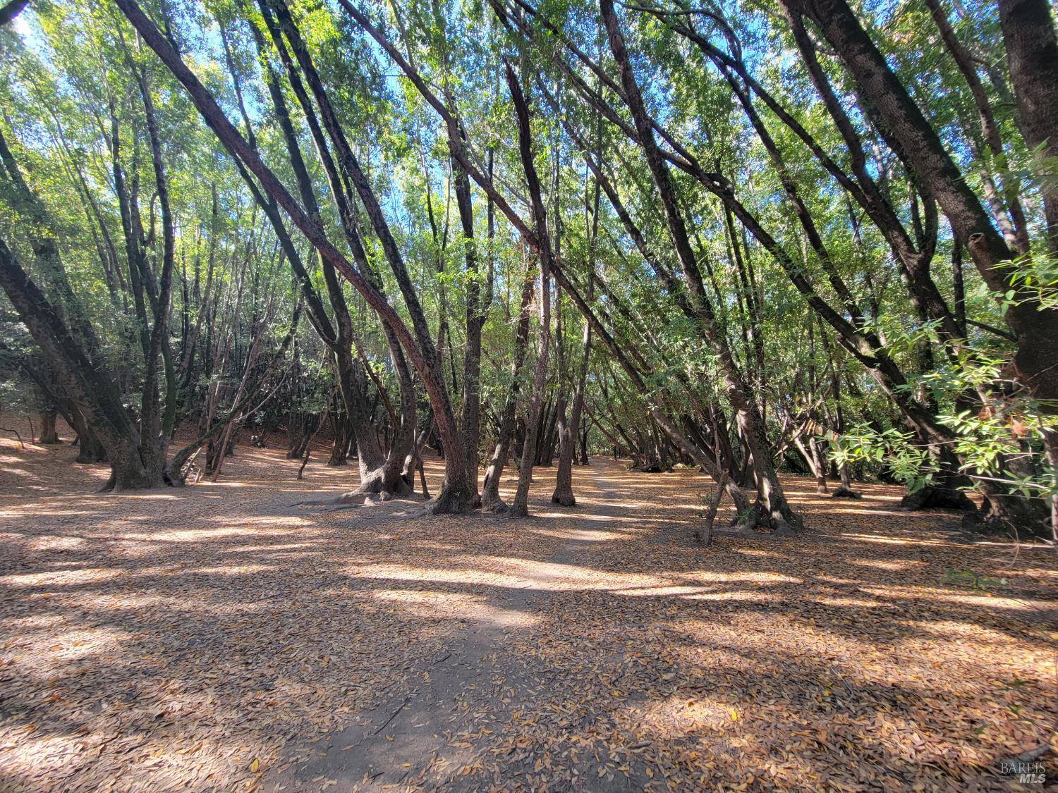 Detail Gallery Image 45 of 56 For 2151 Danberry Ln, San Rafael,  CA 94903 - 4 Beds | 2 Baths