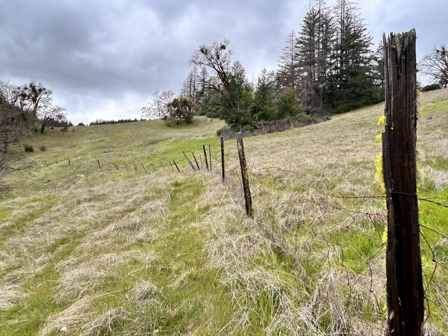 Detail Gallery Image 55 of 75 For 8401 Brandywine Dr, Ukiah,  CA 95482 - 2 Beds | 1 Baths