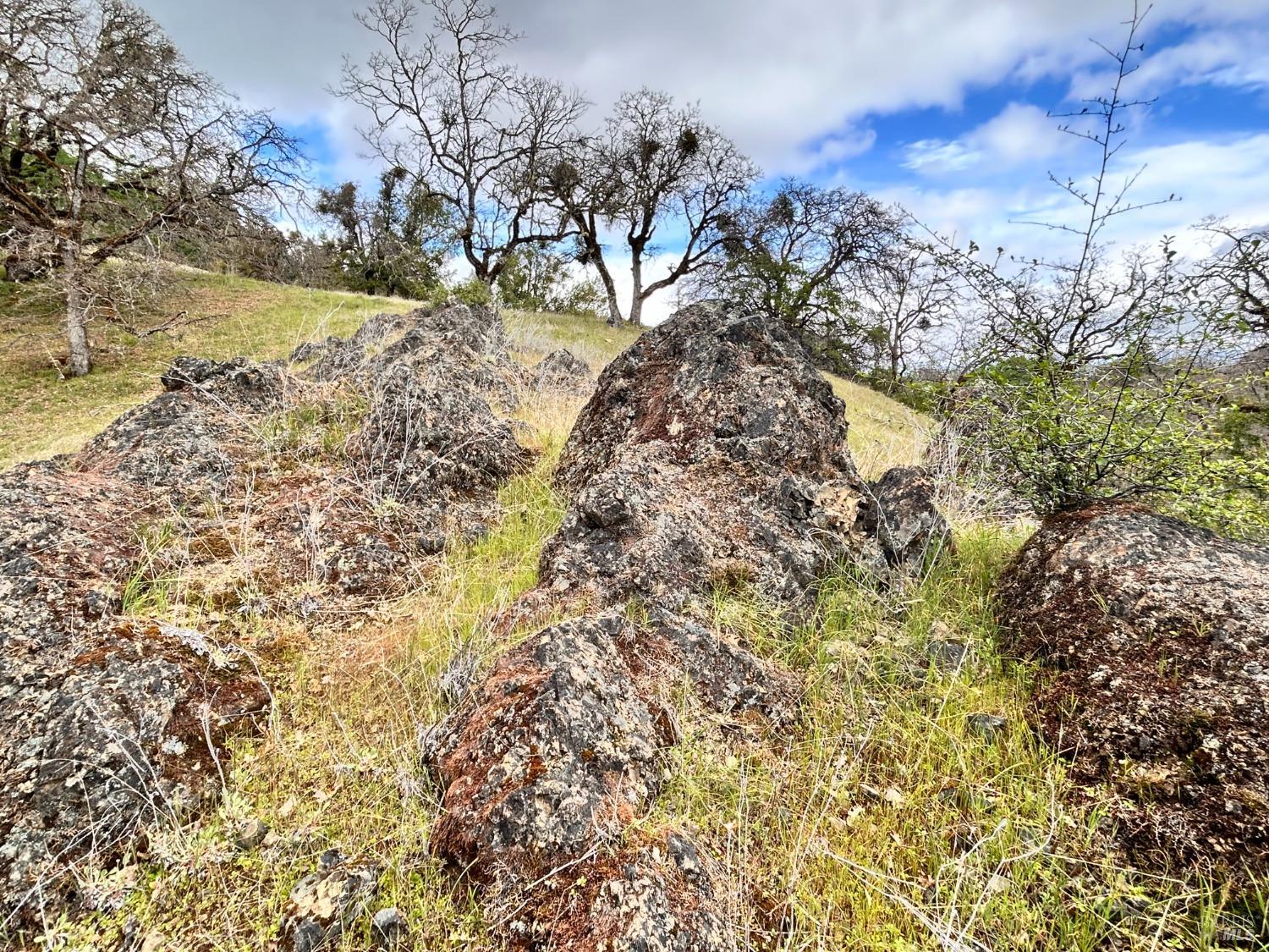 Detail Gallery Image 42 of 75 For 8401 Brandywine Dr, Ukiah,  CA 95482 - 2 Beds | 1 Baths