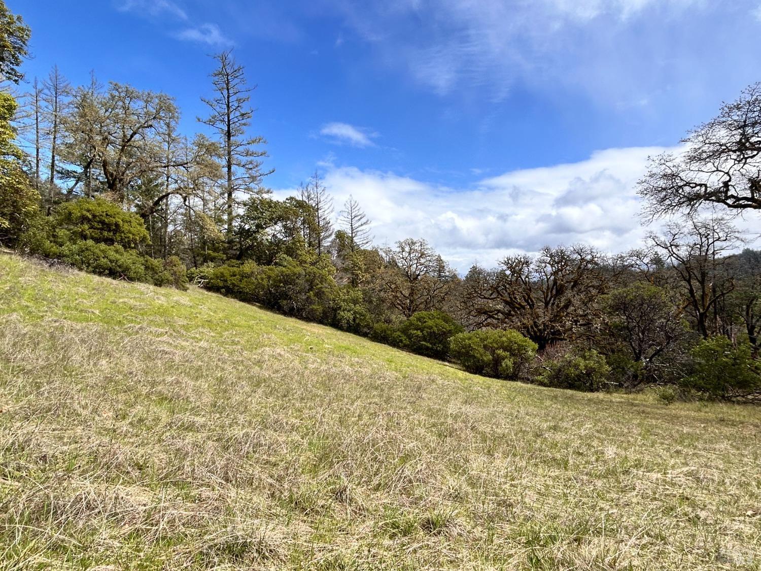 Detail Gallery Image 68 of 75 For 8401 Brandywine Dr, Ukiah,  CA 95482 - 2 Beds | 1 Baths