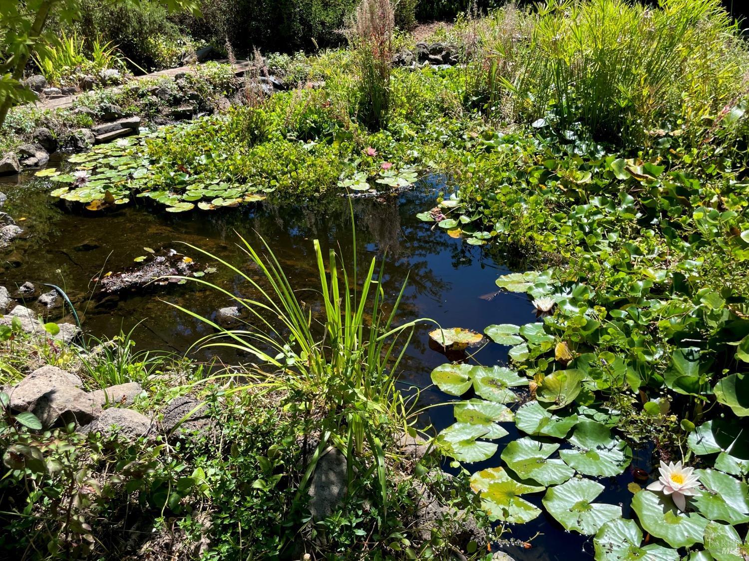 Detail Gallery Image 91 of 95 For 4038 E 3rd Ave, Napa,  CA 94558 - 4 Beds | 3 Baths