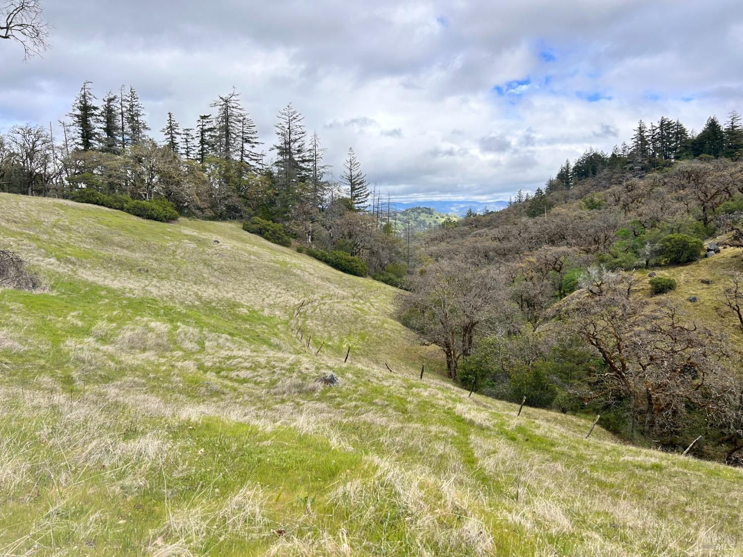 Detail Gallery Image 60 of 75 For 8401 Brandywine Dr, Ukiah,  CA 95482 - 2 Beds | 1 Baths