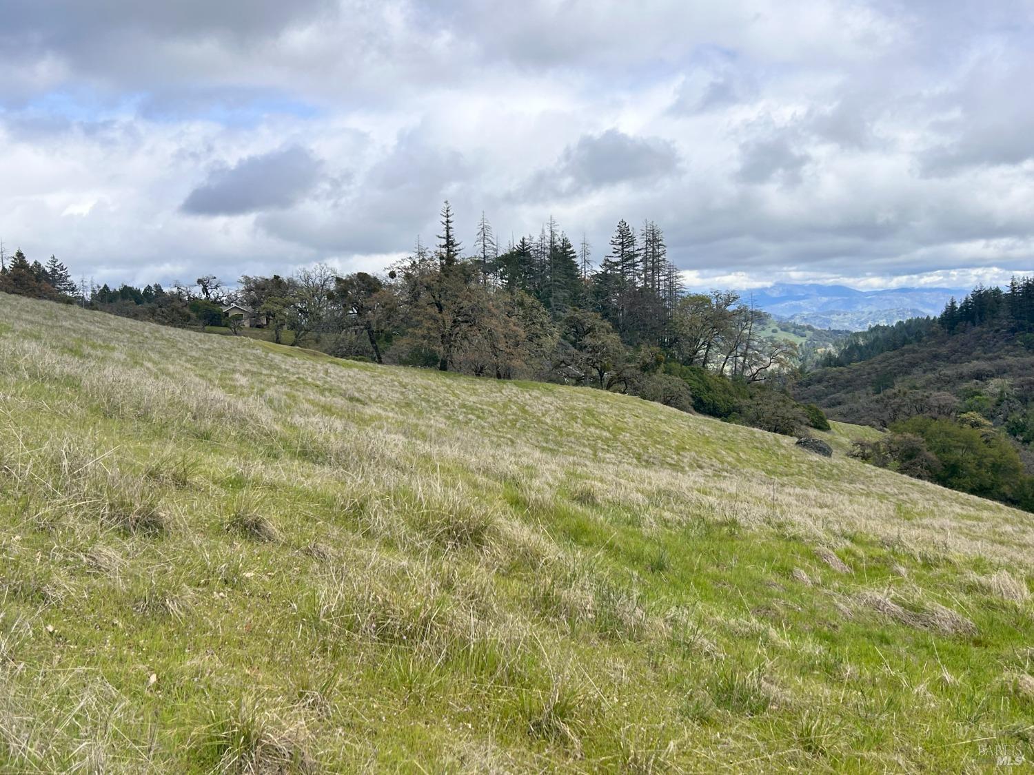 Detail Gallery Image 37 of 75 For 8401 Brandywine Dr, Ukiah,  CA 95482 - 2 Beds | 1 Baths