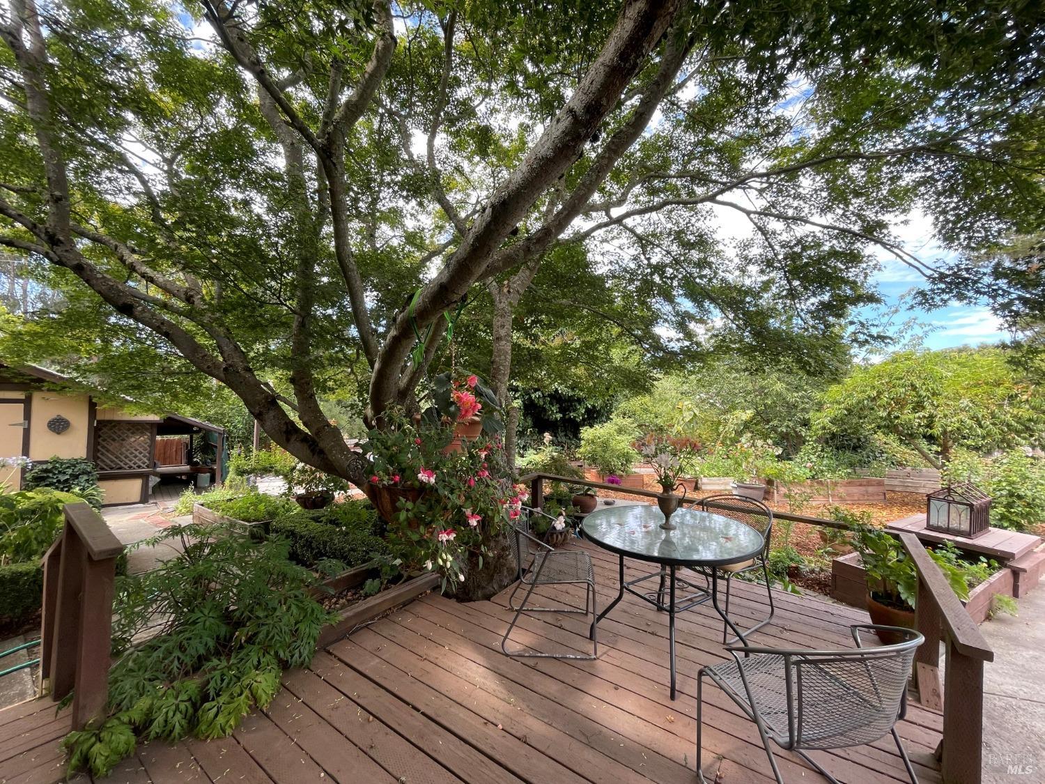 Detail Gallery Image 31 of 95 For 4038 E 3rd Ave, Napa,  CA 94558 - 4 Beds | 3 Baths