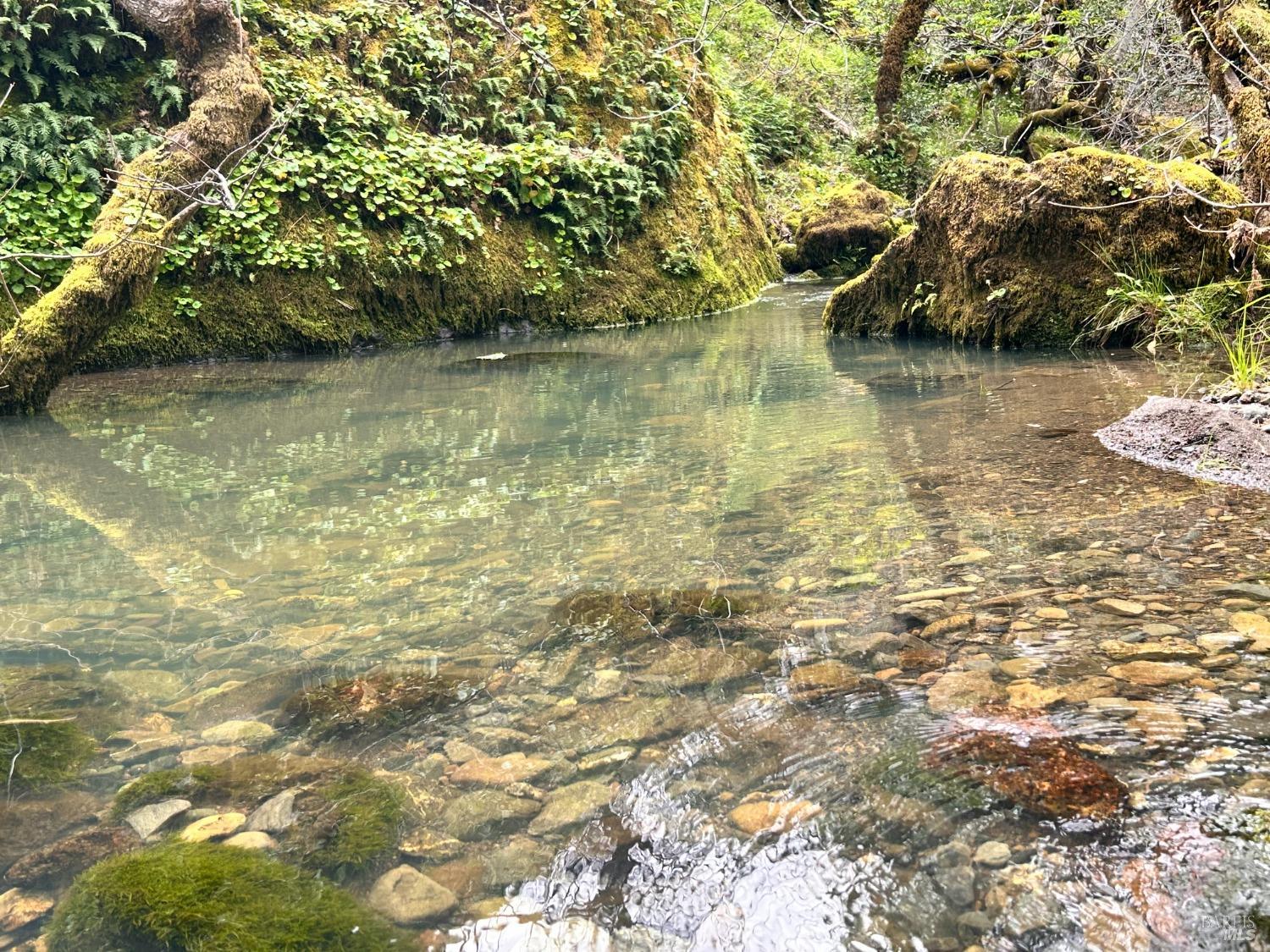 Detail Gallery Image 39 of 75 For 8401 Brandywine Dr, Ukiah,  CA 95482 - 2 Beds | 1 Baths