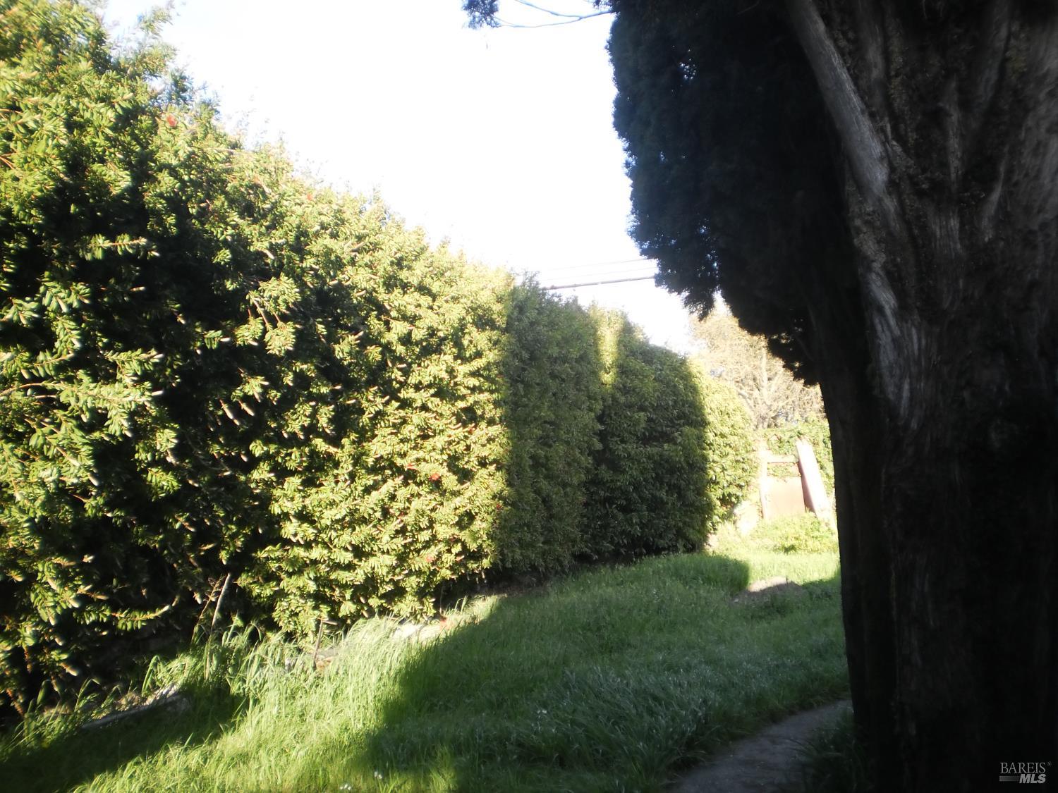 Detail Gallery Image 4 of 20 For 1911 Corby Ave, Santa Rosa,  CA 95407 - 5 Beds | 2 Baths