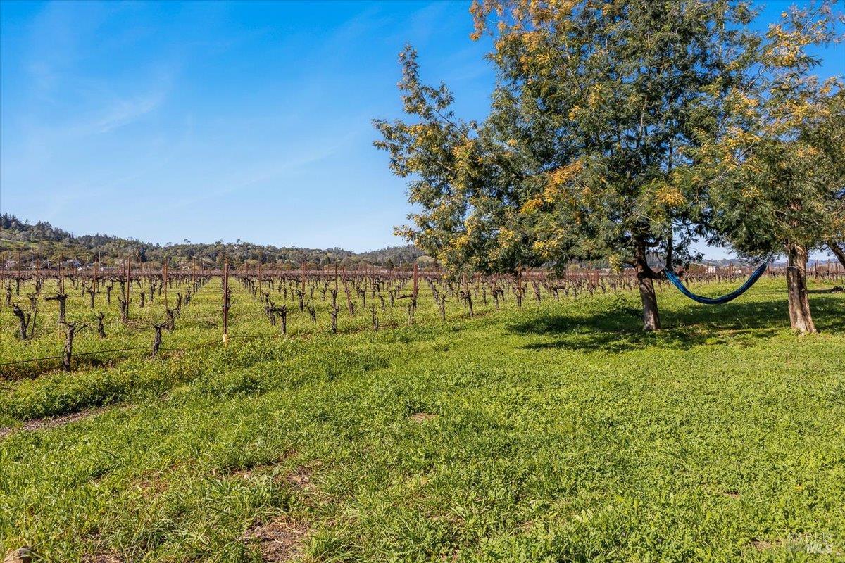 Detail Gallery Image 31 of 43 For 21399 River Ln, Geyserville,  CA 95441 - 2 Beds | 1 Baths