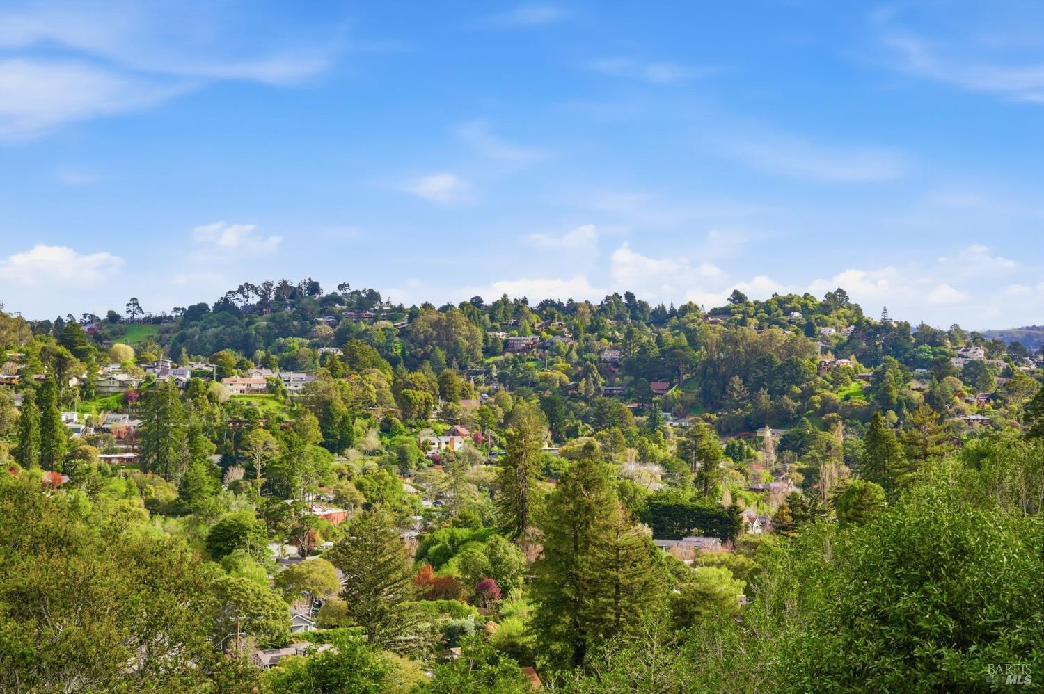 Detail Gallery Image 14 of 58 For 711 Forest Way, Mill Valley,  CA 94941 - 4 Beds | 3/1 Baths