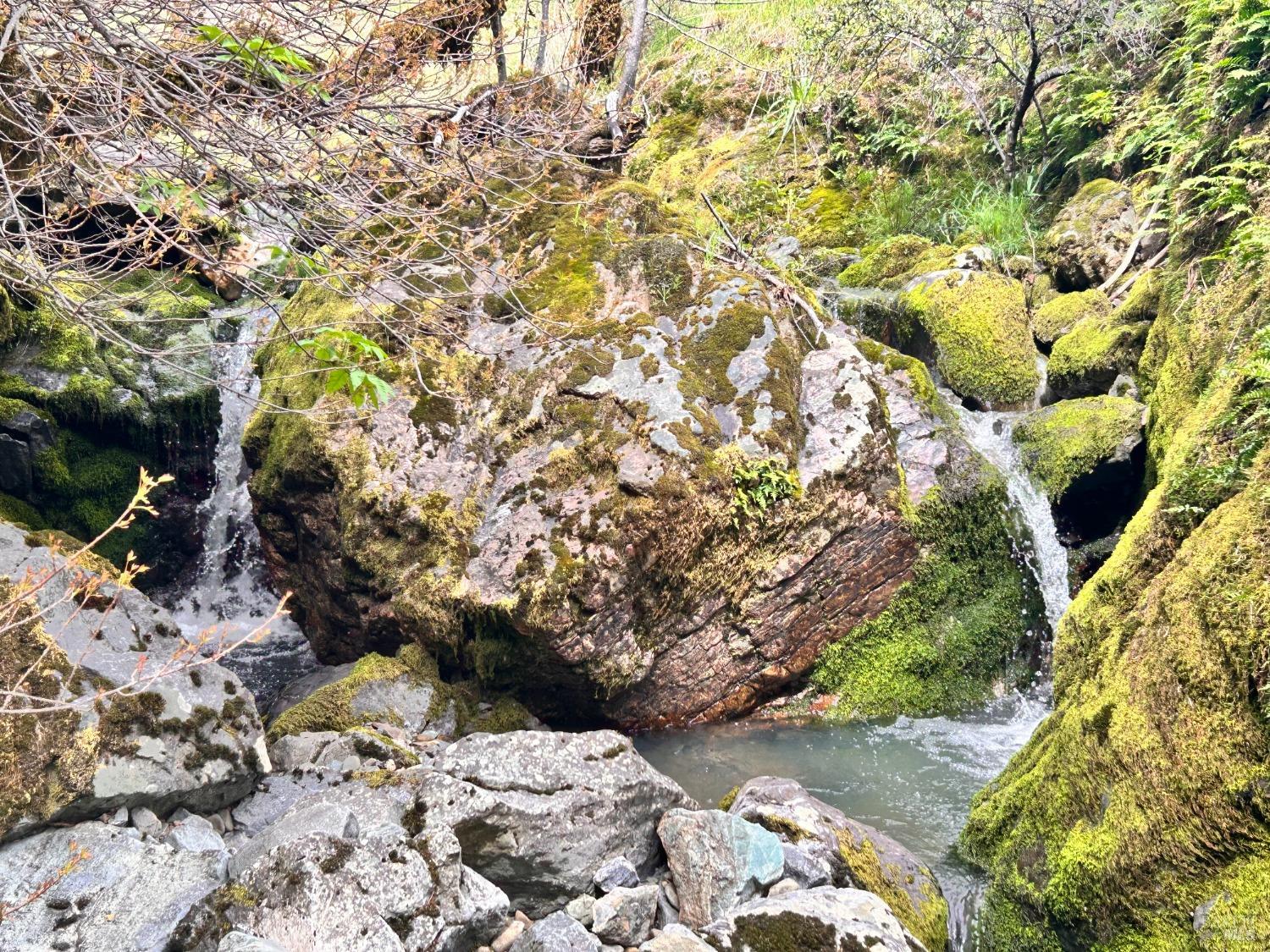 Detail Gallery Image 46 of 75 For 8401 Brandywine Dr, Ukiah,  CA 95482 - 2 Beds | 1 Baths