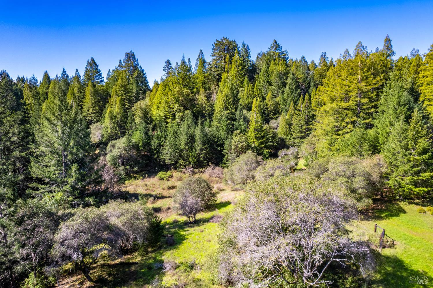 Detail Gallery Image 66 of 71 For 1910 Charoliase Dr, Navarro,  CA 95463 - 2 Beds | 1 Baths