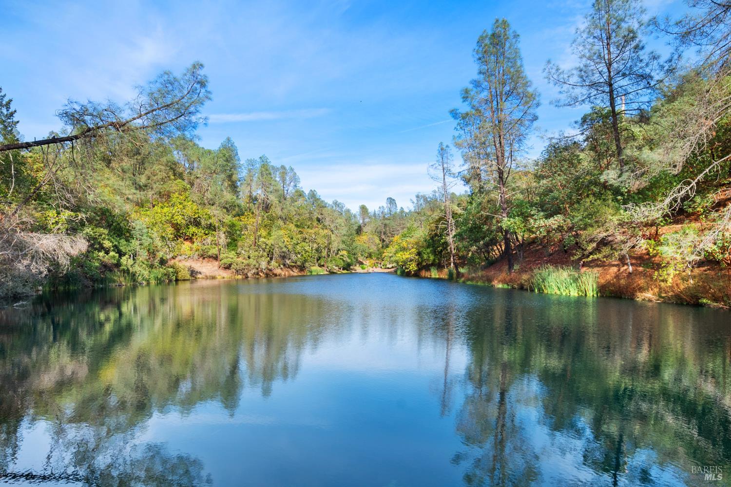 Detail Gallery Image 8 of 11 For 22700 Walling Rd, Geyserville,  CA 95441 - 3 Beds | 3/1 Baths