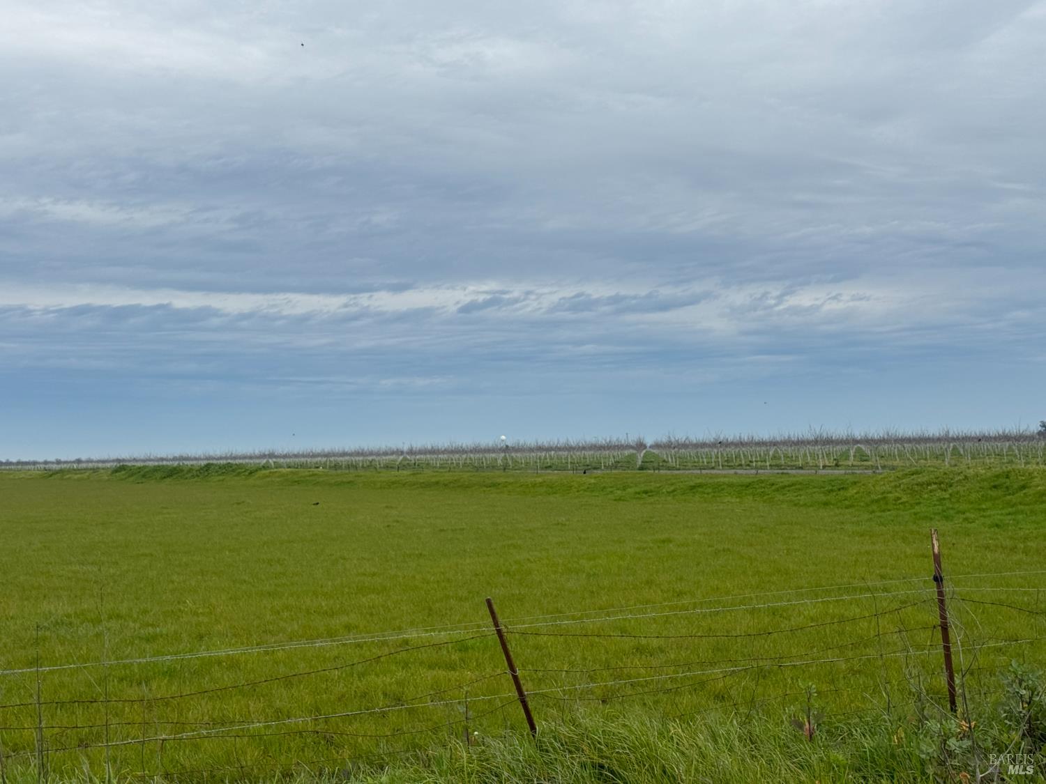 Detail Gallery Image 17 of 17 For 0 Hyde Rd, Dixon,  CA 95620 - – Beds | – Baths