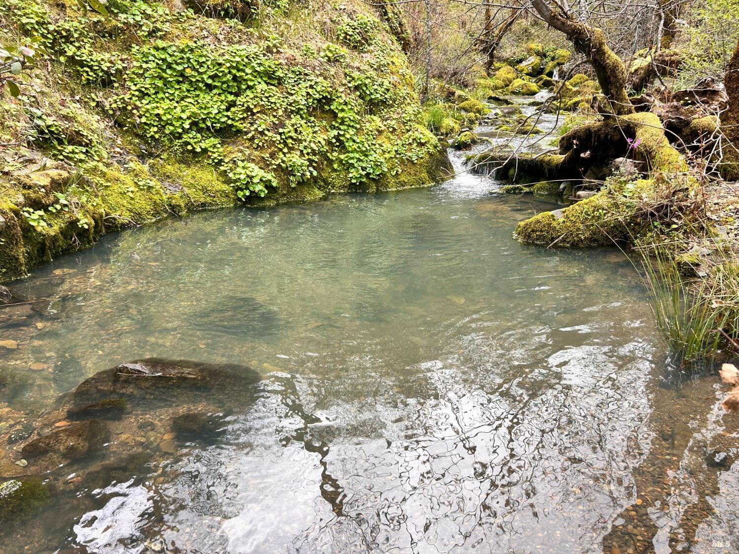 Detail Gallery Image 6 of 75 For 8401 Brandywine Dr, Ukiah,  CA 95482 - 2 Beds | 1 Baths