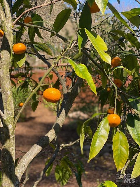 Detail Gallery Image 46 of 52 For 838 Oakwood Dr, Sonoma,  CA 95476 - 3 Beds | 2 Baths