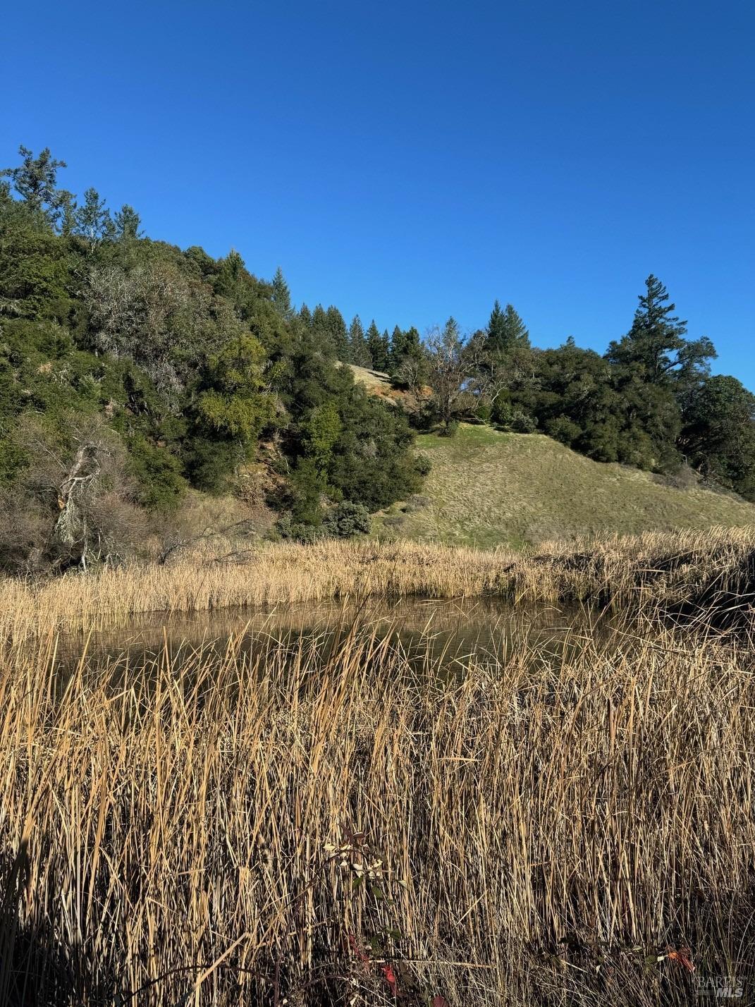 Detail Gallery Image 3 of 9 For 34996 Highway 128 Hwy, Cloverdale,  CA 95425 - – Beds | – Baths