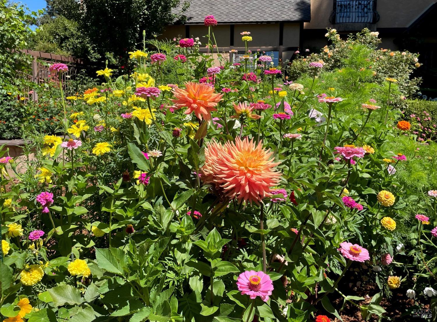 Detail Gallery Image 76 of 95 For 4038 E 3rd Ave, Napa,  CA 94558 - 4 Beds | 3 Baths