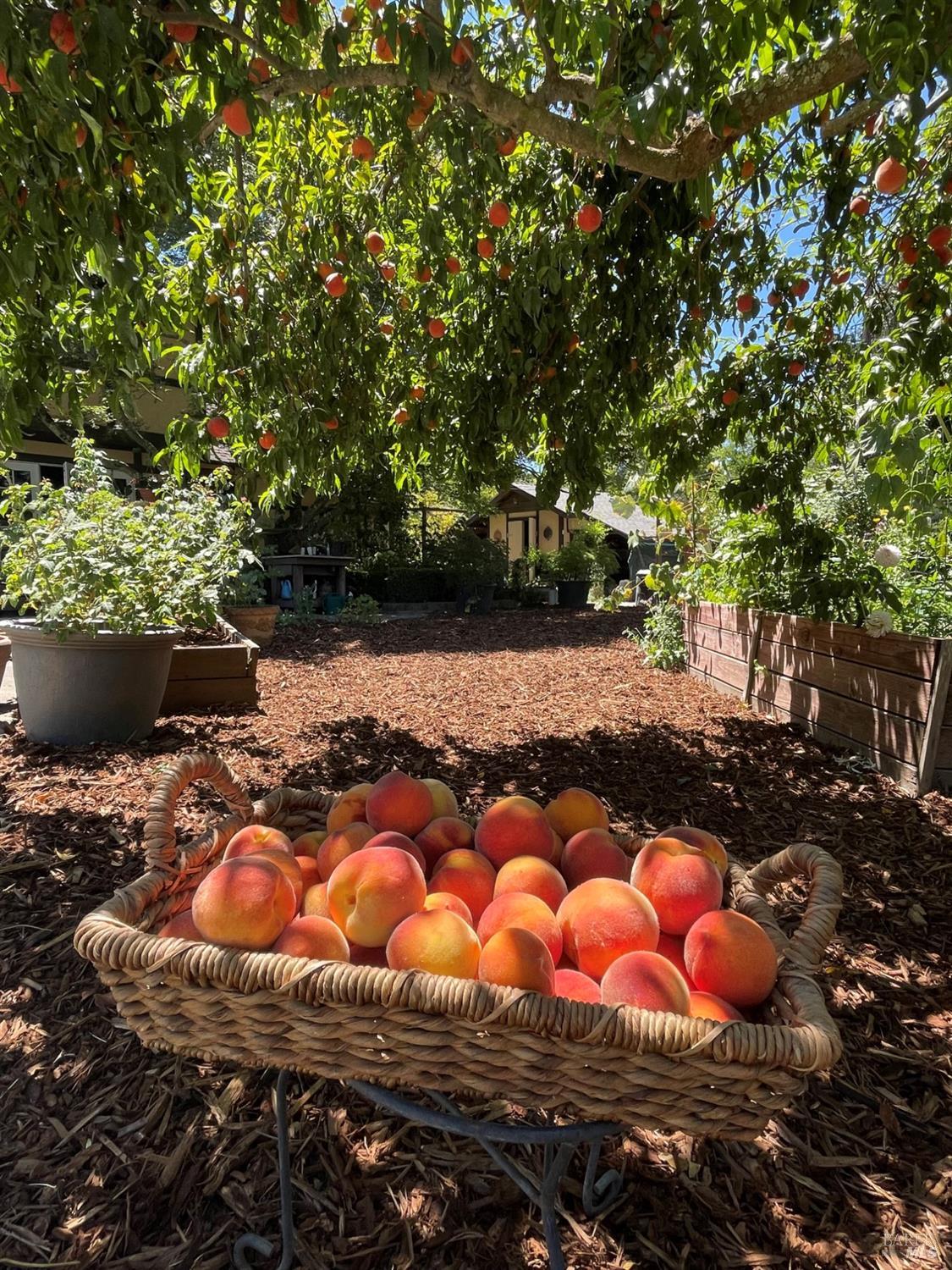 Detail Gallery Image 33 of 95 For 4038 E 3rd Ave, Napa,  CA 94558 - 4 Beds | 3 Baths