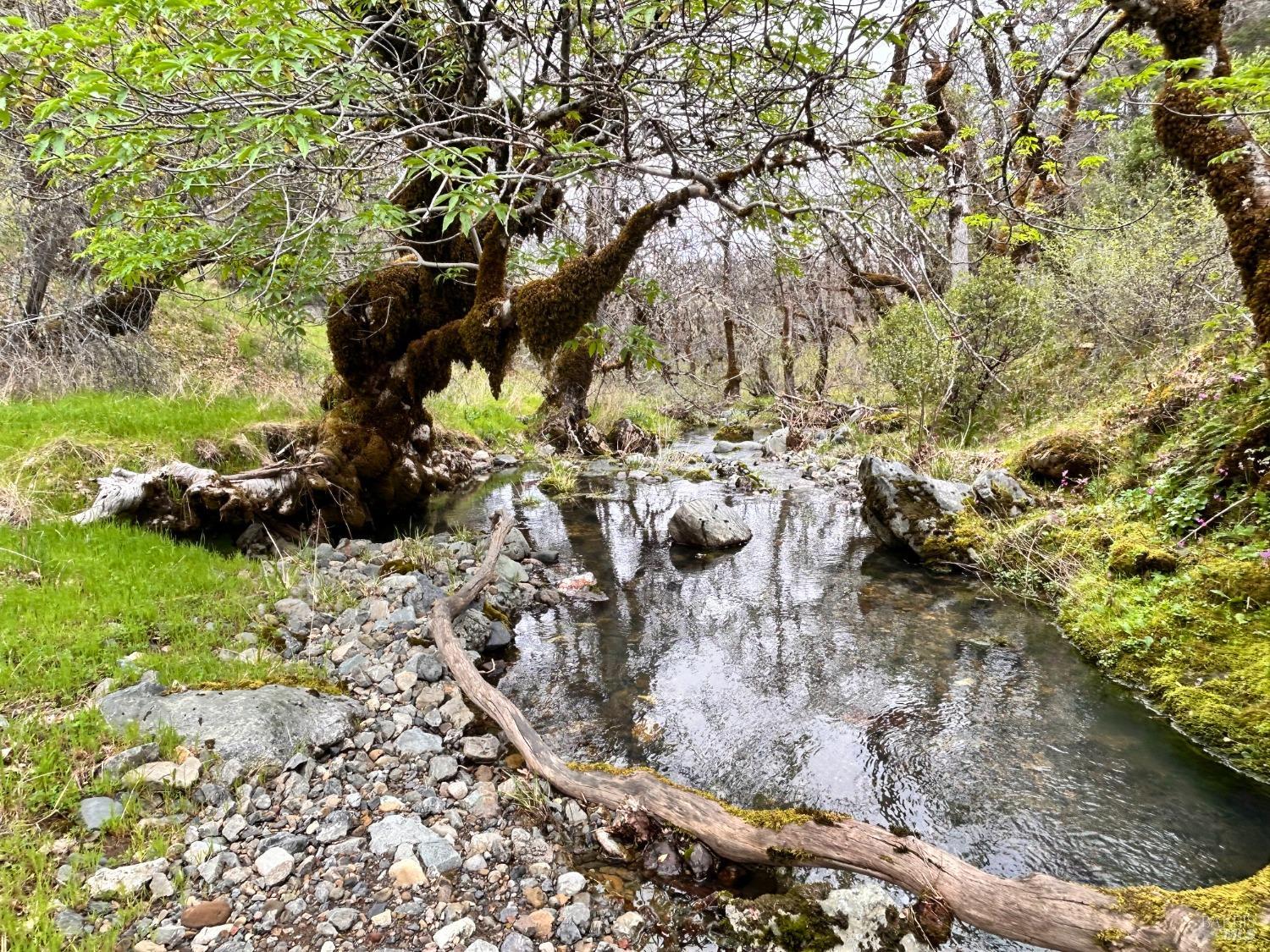 Detail Gallery Image 51 of 75 For 8401 Brandywine Dr, Ukiah,  CA 95482 - 2 Beds | 1 Baths
