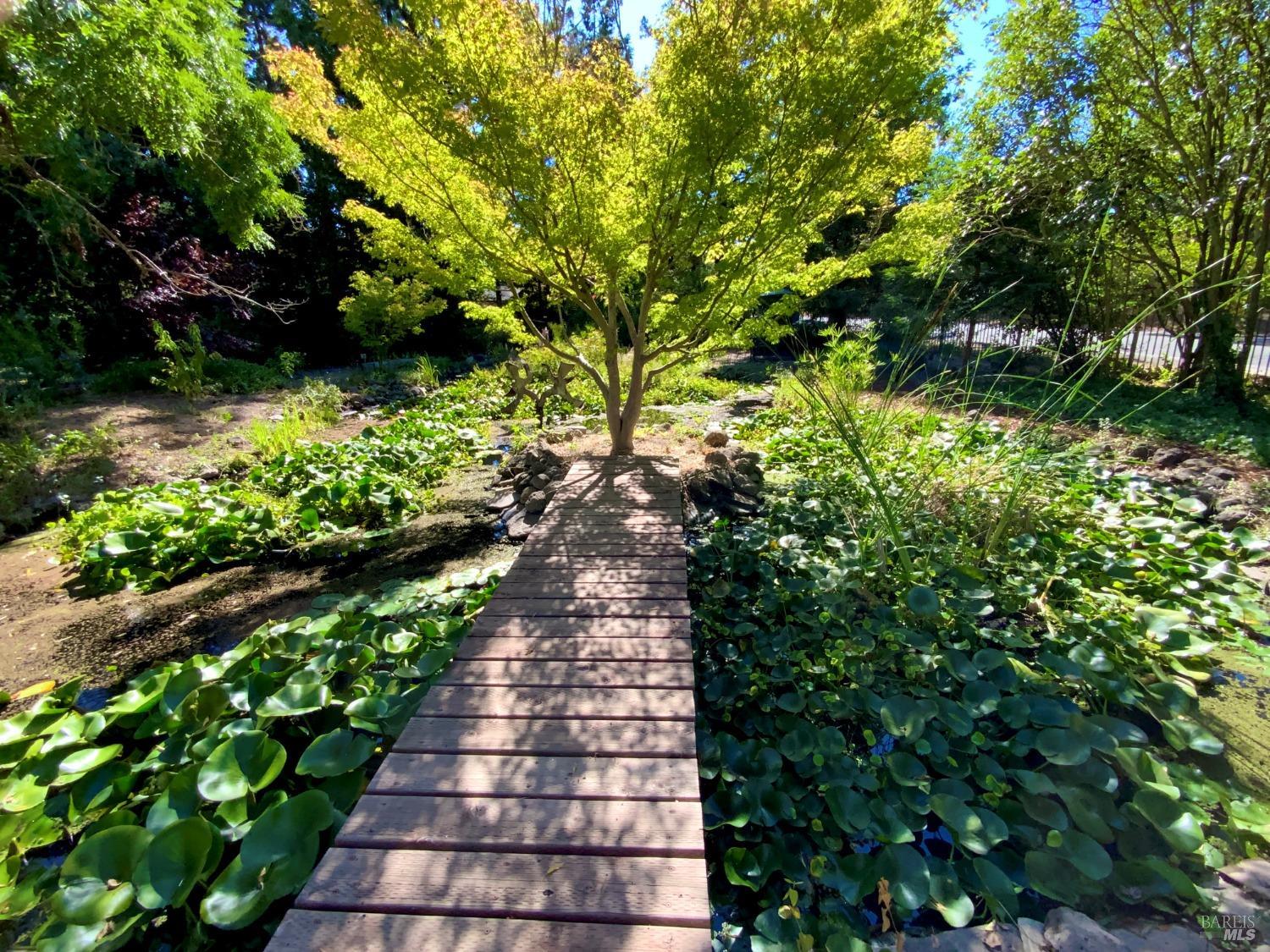 Detail Gallery Image 89 of 95 For 4038 E 3rd Ave, Napa,  CA 94558 - 4 Beds | 3 Baths