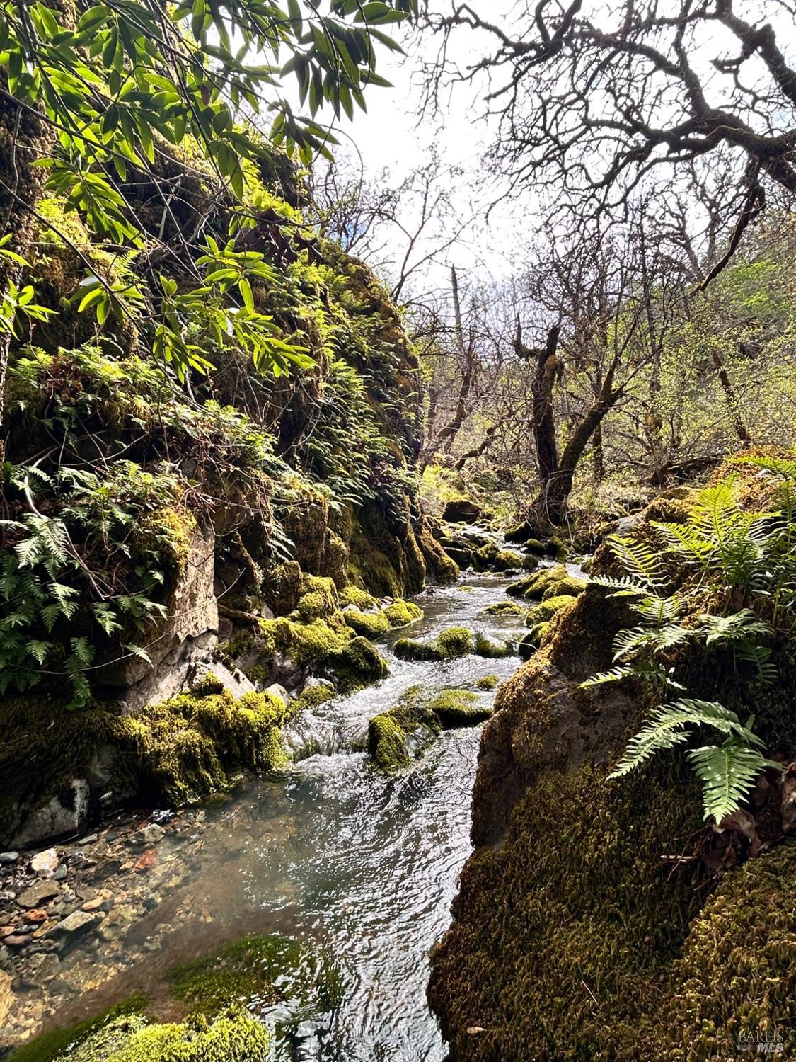 Detail Gallery Image 59 of 75 For 8401 Brandywine Dr, Ukiah,  CA 95482 - 2 Beds | 1 Baths